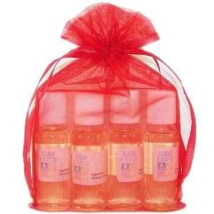 Massage Body Oils Gift Set 4 Bottles You Choose the Scents