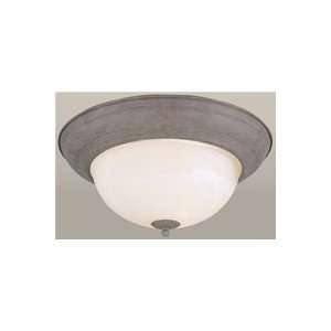  Forte Lighting 2129 03 09 Forte Ceiling Lighting