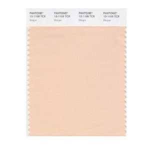  PANTONE SMART 13 1109X Color Swatch Card, Bisque