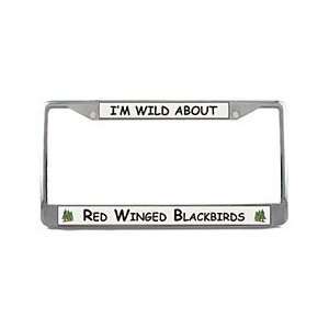  Red Winged Blackbird License Plate Frame Sports 