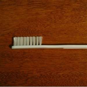  Guest Toothbrush (Case of 144) 18411