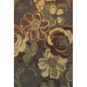  Foreign Accents Chelsea SWS 4243 5 x 73 Area Rug