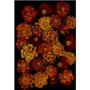  Marigolds Galore Fine Art Photography Print (23.5 x 32.0 