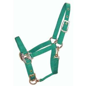   Chin Halter with Snap,200 to 300 Pound Weanling, Green