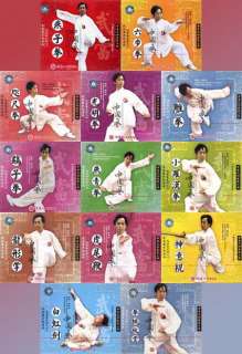 Wu Dang Nan Zong Song Xi Style Complete Set by Tan Benlun 13VCDs