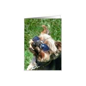 Yorkshire Terrier with sunglasses Dog Card