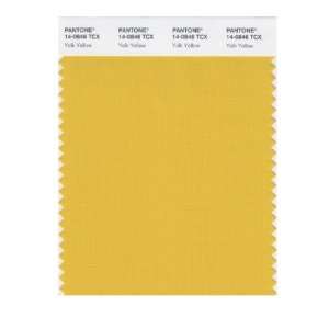   SMART 14 0846X Color Swatch Card, Yolk Yellow