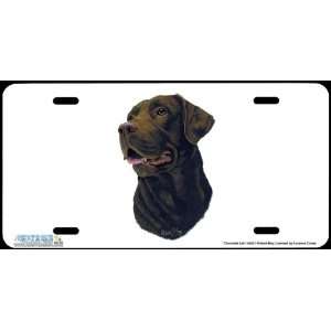 4245 Chocolate Lab Dog License Plate Car Auto Novelty Front Tag by 