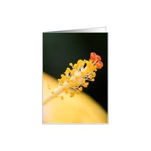 Yellow Hibiscus Card