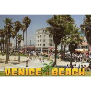  VENICE BEACH POSTCARD PC57 LOS2595   from Hibiscus Express 