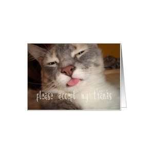  Accept My Thanks Thank You Humor Animal Funny Cat Pet Card 