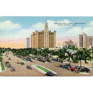  1950s Vintage Postcard Biscayne Boulevard, south from 5th 