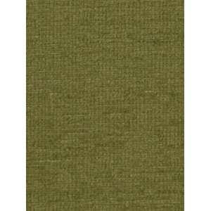  Vandeleur Meadow by Robert Allen Contract Fabric