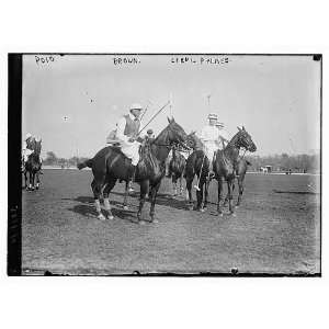  Polo,Brown,Lieut. Palmes