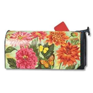  Dahlias Mailwrap