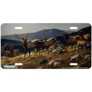 6534 High Country Elk License Plate Car Auto Novelty Front Tag by 
