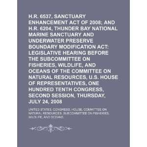  H.R. 6537, Sanctuary Enhancement Act of 2008; and H.R 