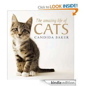 The Amazing Life of Cats (Inspired Living) Candida Baker  