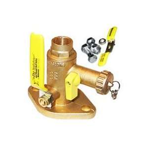  Webstone Valve 50413X1 N/A The Isolator Pro Connect 3/4 