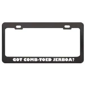 Got Comb Toed Jerboa? Animals Pets Black Metal License Plate Frame 