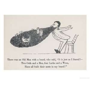   Owls Hens Larks and Wrens Giclee Poster Print by Edward Lear, 12x16