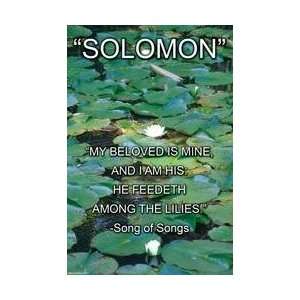  Solomon   Song of Songs 20x30 poster