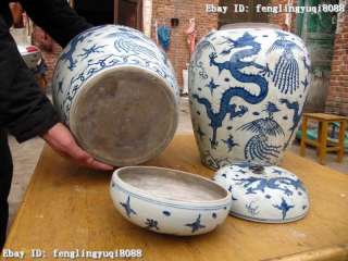China Blue and white porcelain Dragon phenix Vase Pair  