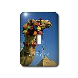 Wild animals   Camel   Light Switch Covers   single toggle switch