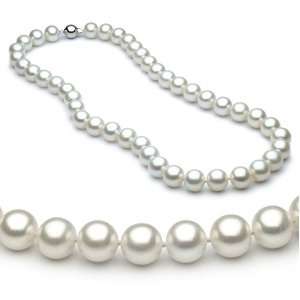   White Freshwater Cultured Pearl Necklace AAA Quality, 16 Inch Choker