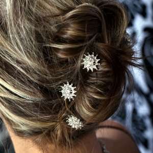   Elegant Crystal 2 Layers Flower Pattern Hair Pins Sticks [PACK OF 6