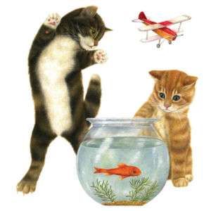Cats with Goldfish Cat Tshirt Sizes/Colors  