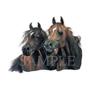   shirts Animals Wildlife Horses Arabian Knights Xl 