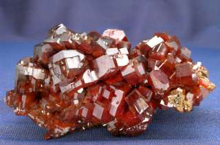 WORLDCLASS GEMMY VANADINITE GROUP, BIG CRYSTALS, WOW  