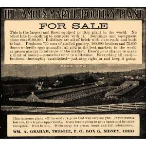  1905 Ad Famous Mary L Poultry Plant Will Graham Sidney 
