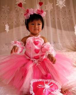 Custom Valentine Tutu Dress Outfit birthday pageant 6pc  