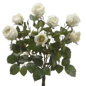   Silk Ecuador Rose Flower Bush  Green/Cream (case of 6)