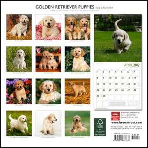 Golden Retriever Puppies 2012 Square Wall Calendar  
