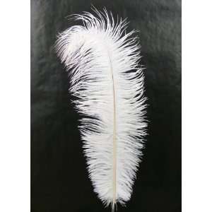 18 20in White Ostrich Feather/ 6 Feather in a Pack