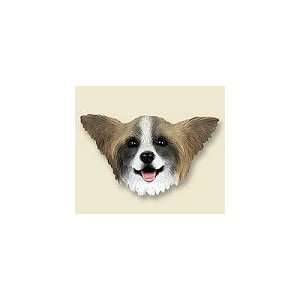  Papillon (Brown and White) Magnet 