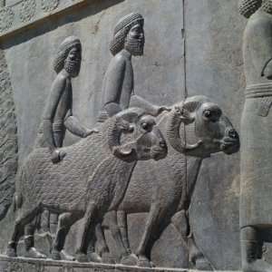  Persepolis, UNESCO World Heritage Site, Iran, Middle East 