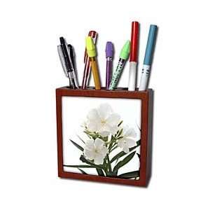   tropical plant, buds   Tile Pen Holders 5 inch tile pen holder Office