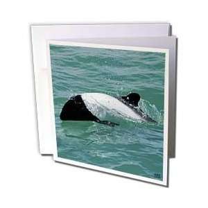  Kike Calvo Whales n Dolphins   Whale   Greeting Cards 12 