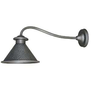   Sky Essen 1 Light 9 inch Wall Lantern with Long Arm, Antique Pewter