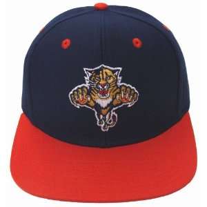  Florida Panthers Retro Hat Cap Snapback Logo 2 Tone 