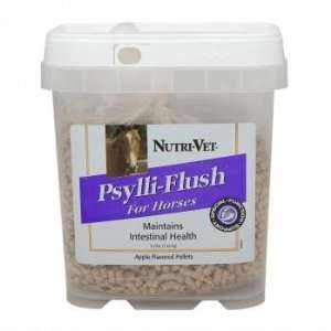  Equine Intestinal Health Supplement   Psylli flush Supplies Natural 