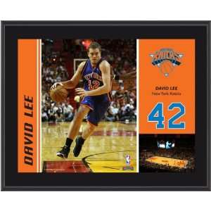  New York Knicks David Lee Sublimated 10x13 Plaque Sports 