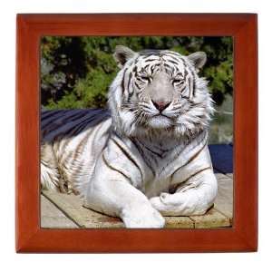  White Tiger 9 Animals Keepsake Box by  Baby