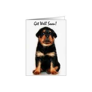  Get well soon Rottweiler Puppy Card Health & Personal 