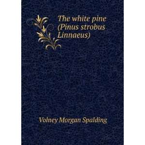   The white pine (Pinus strobus Linnaeus) Volney Morgan Spalding Books