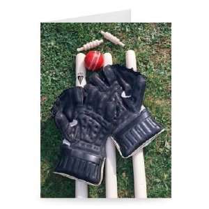 The Wicket Keepers Kit    Greeting Card (Pack of 2)   7x5 inch 